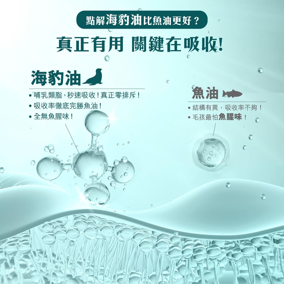 Carino 加拿大 Omega-3 寵物海豹油