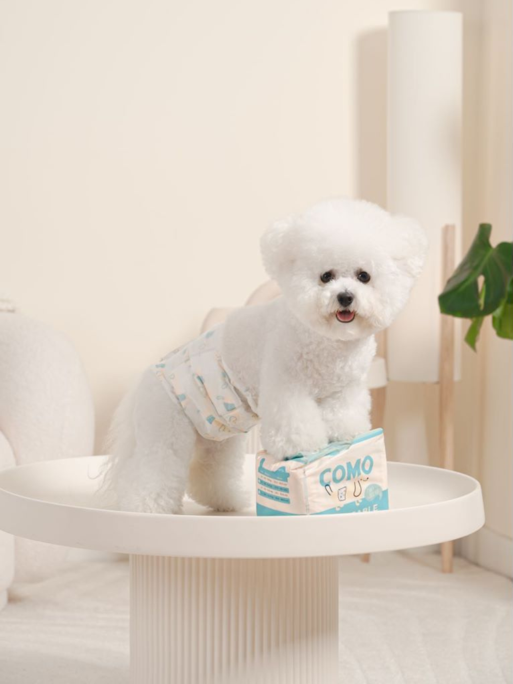 COMO 乾爽親膚狗尿片(男生專用) Size M