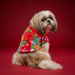 花布唐裝衫