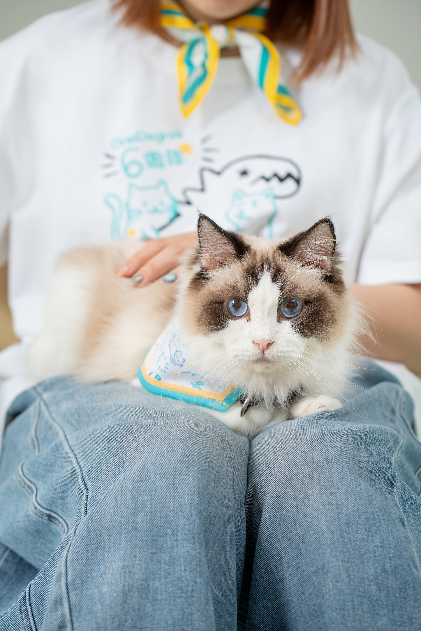 OneDegree | Sport b: Limited Edition Pet Bandana