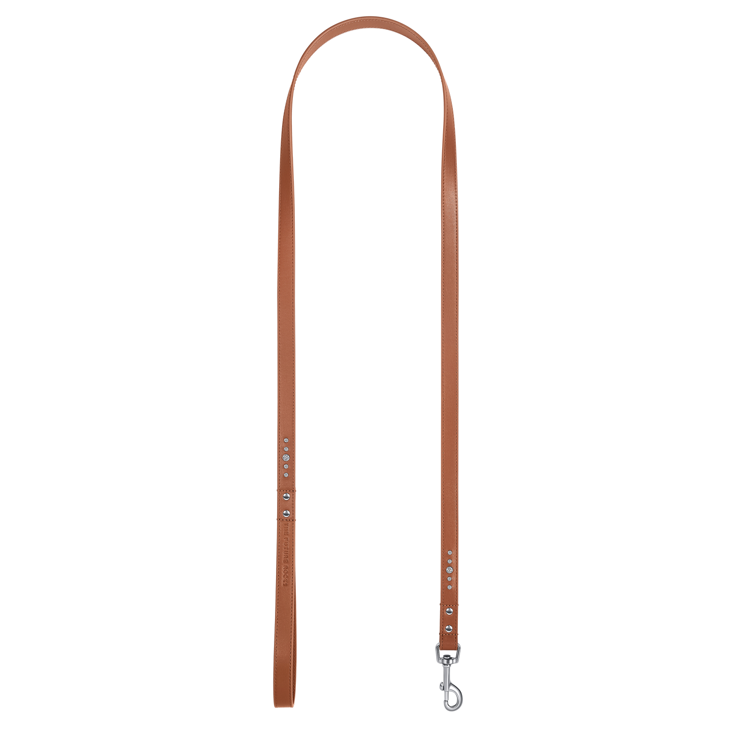 THE FUTURE ROCKS vegan leather leash with lab-grown sapphire - Brown