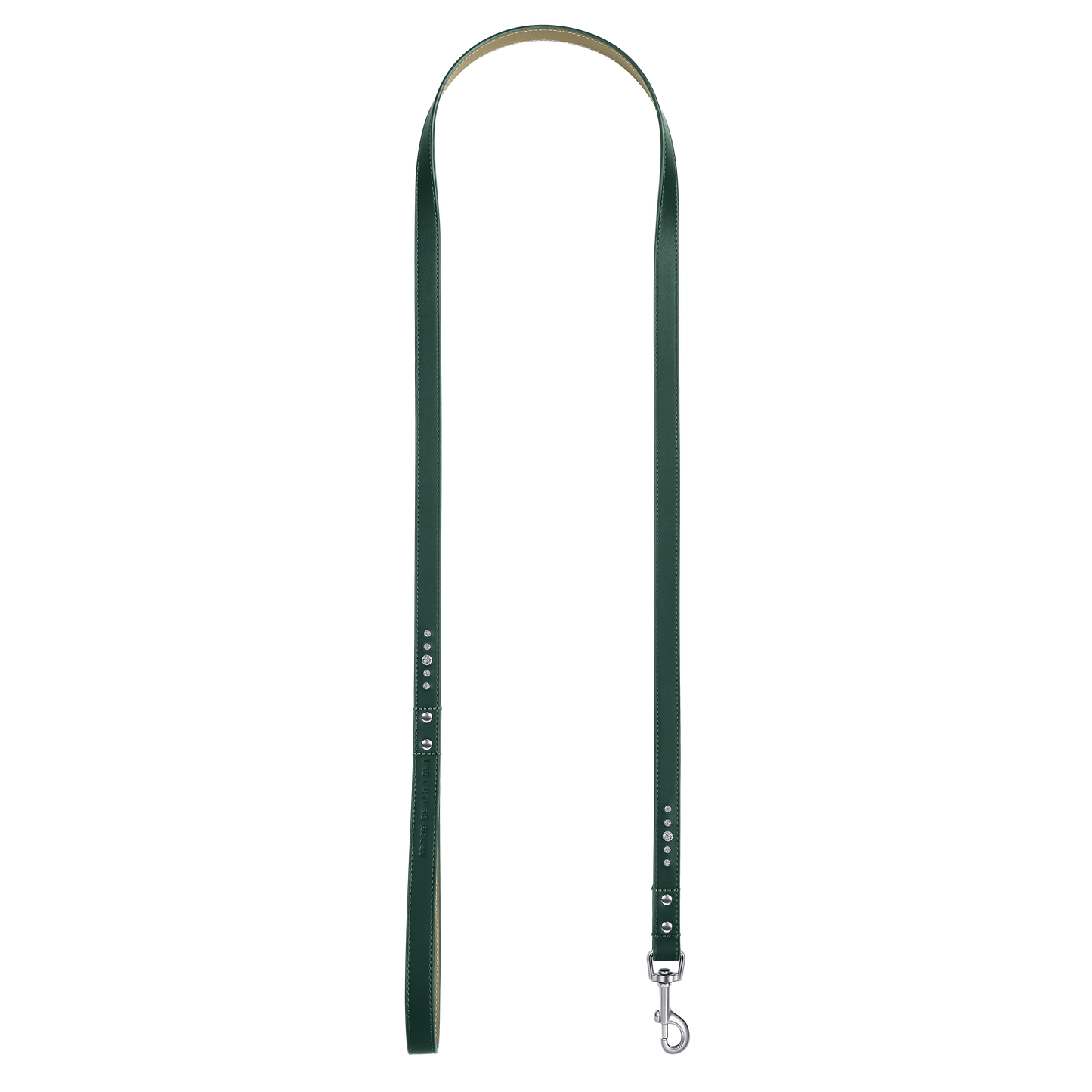 THE FUTURE ROCKS vegan leather leash with lab-grown sapphire - Green