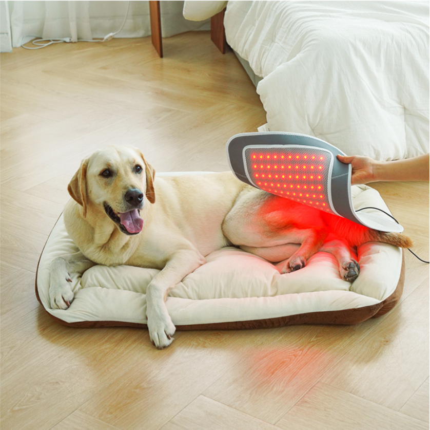 Cirius Pet 寵物紅外線光療墊 (躺療款)