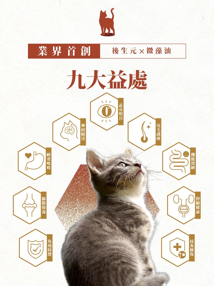長生の秘訣 貓罐頭．肉汁湯罐 吞拿魚+雞肉+南瓜80g 原箱12罐