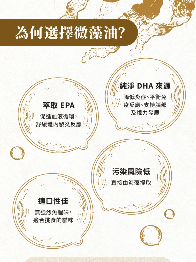 長生の秘訣 貓罐頭．肉醬主食罐 吞拿魚+三文魚80g 原箱12罐