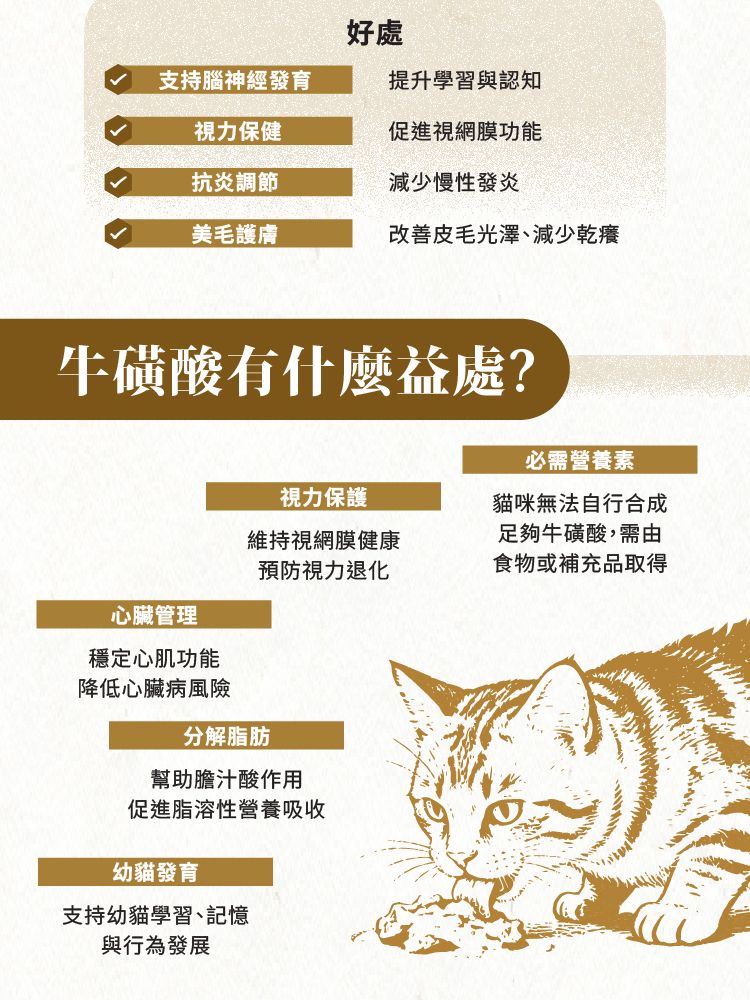 長生の秘訣 貓罐頭．肉醬主食罐 吞拿魚+三文魚80g 原箱12罐