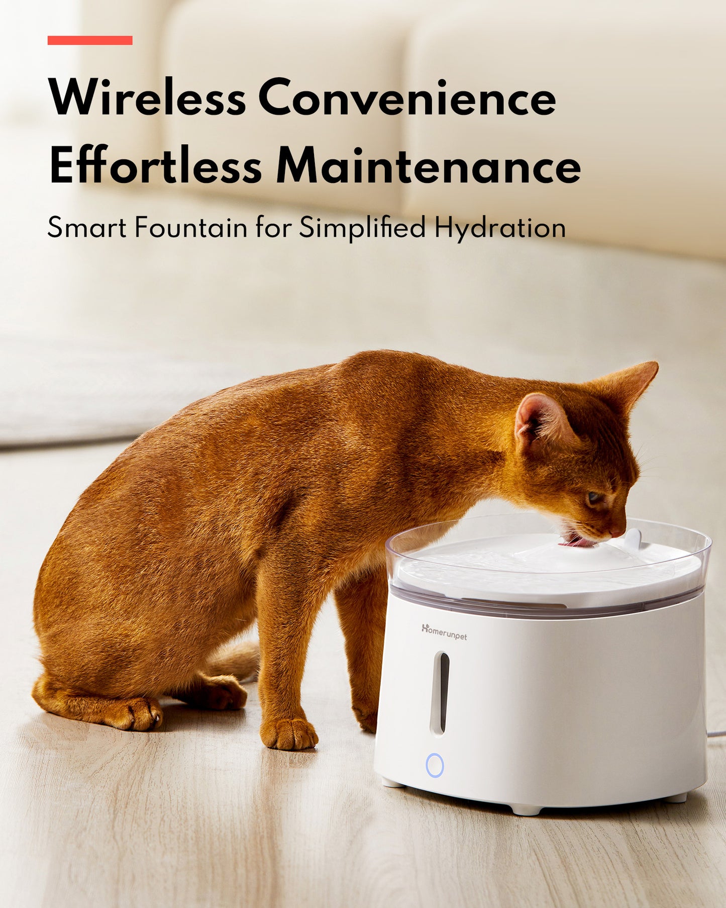 HomeRun WF20 Pet Fountain with Wireless Pump