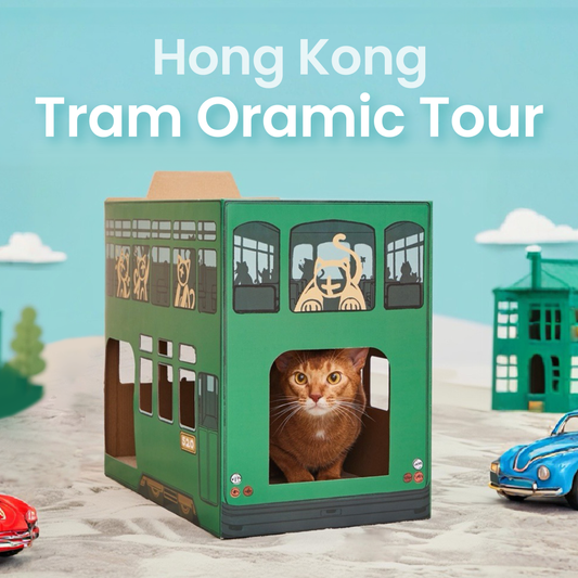 PP Lab Hong Kong Tram Cat Scratcher