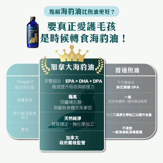 Carino 加拿大 Omega-3 寵物海豹油