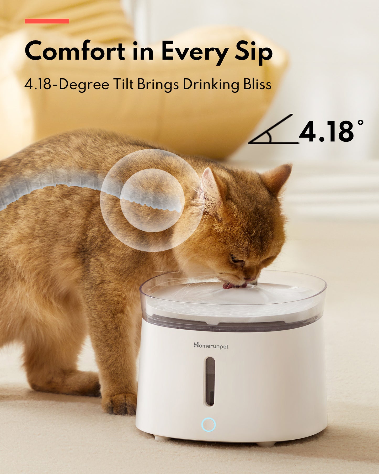 HomeRun WF20 Pet Fountain with Wireless Pump