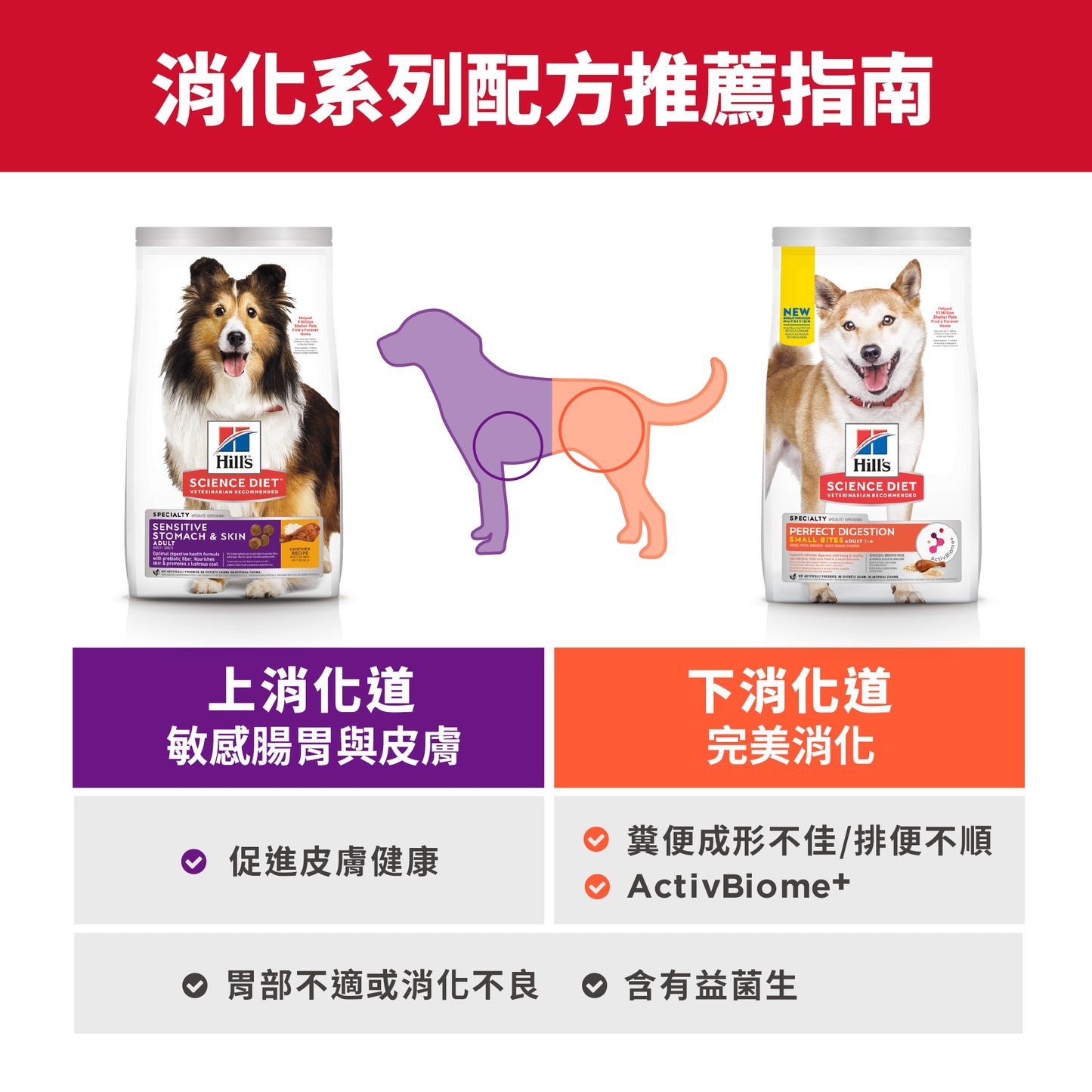 高齡犬7+ 完美消化細粒3.5磅 狗糧 (606803)