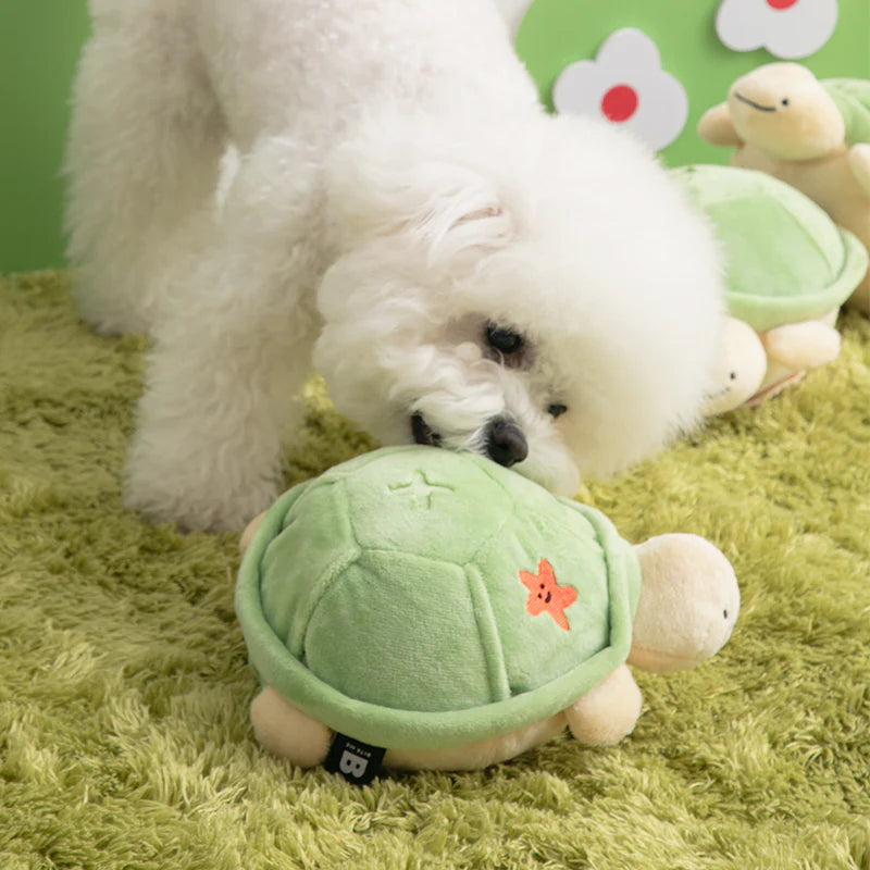 BiteMe Jumping Boogie Auto-Ball Toy 藏零食彈彈龜