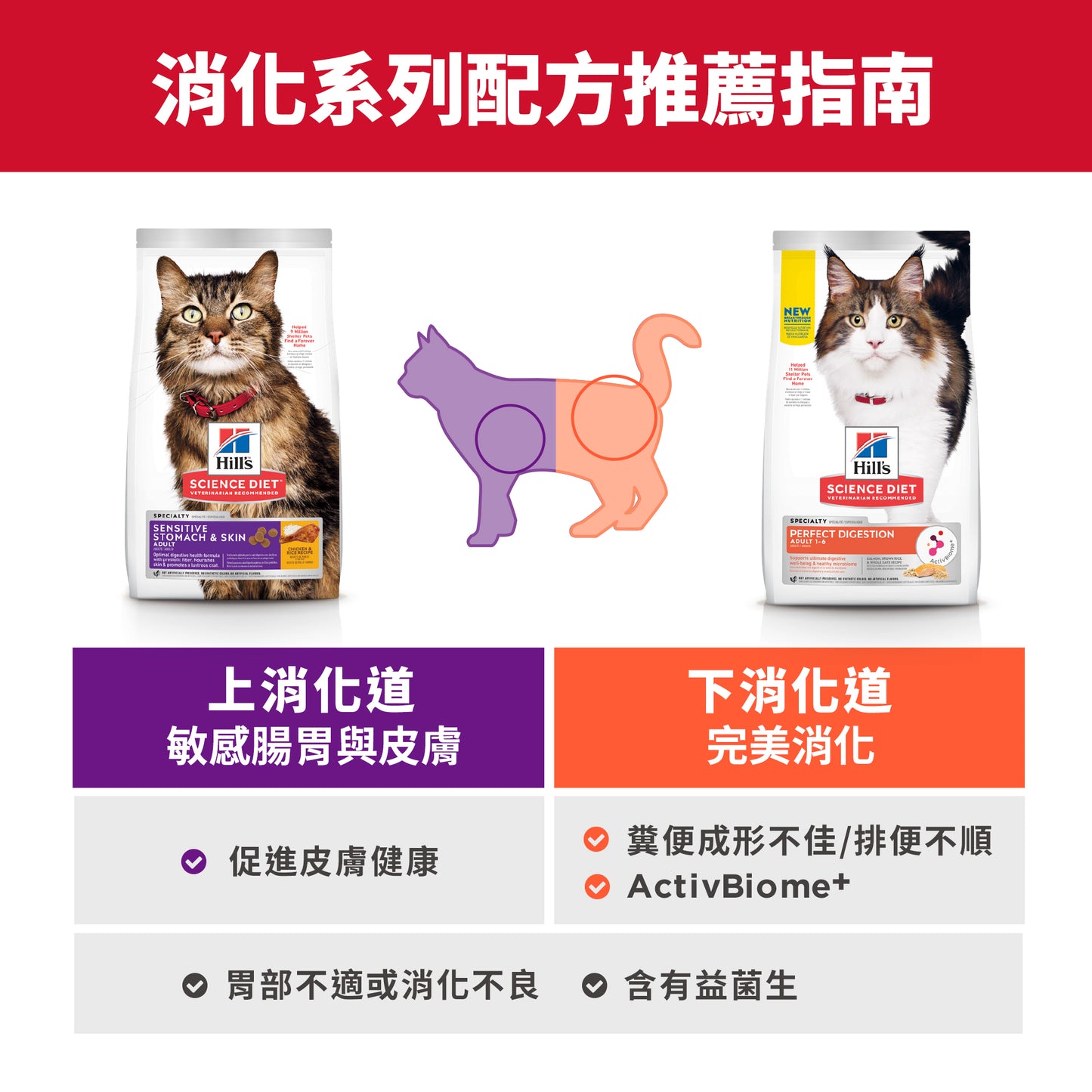 Perfect Digestion Feline Adult 3.5lbs Salmon Cat Food (606869) 