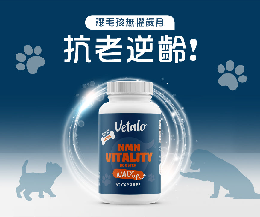 Vetalo NMN活力重生配方 60粒
