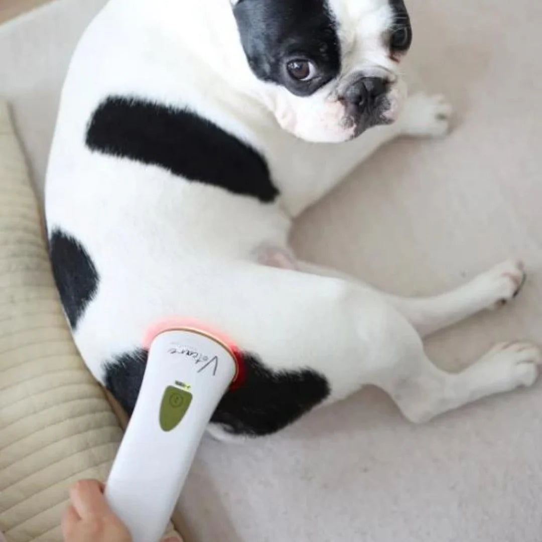 Photizo Vetcare Light Therapy Device