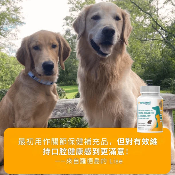 1-TDC® 寵物口腔及關節全效保健配方