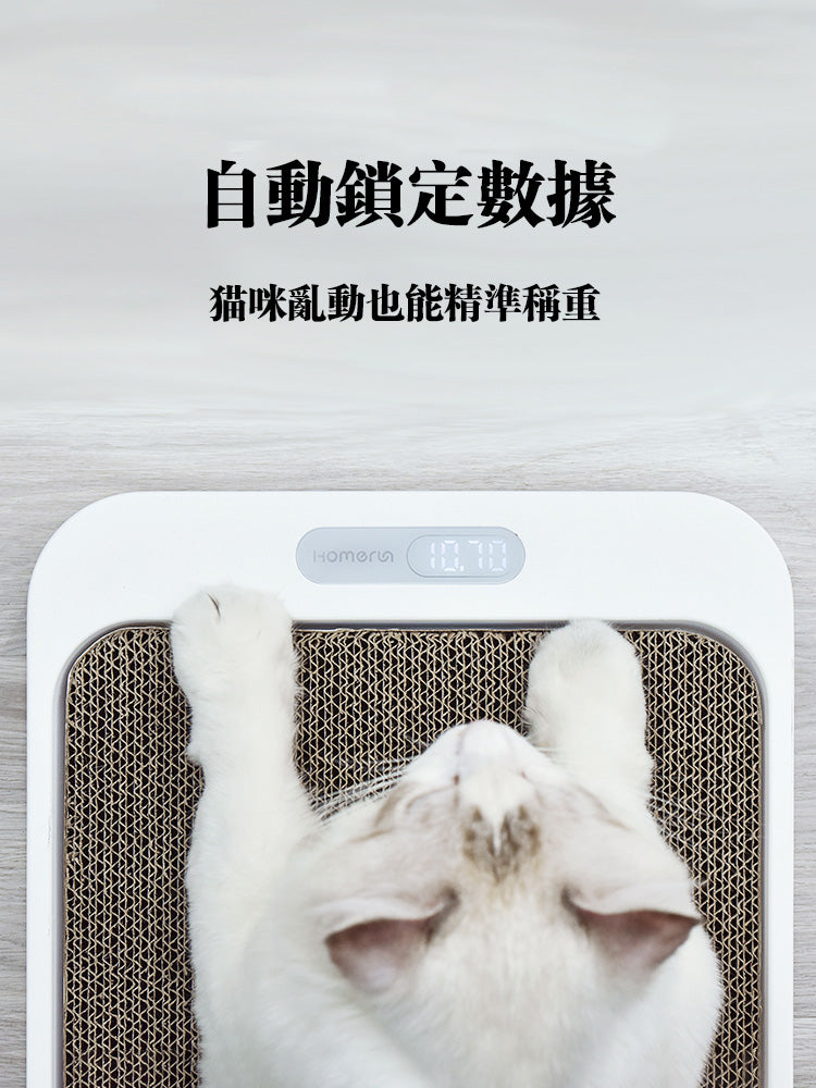 HomeRun 貓抓板體重秤
