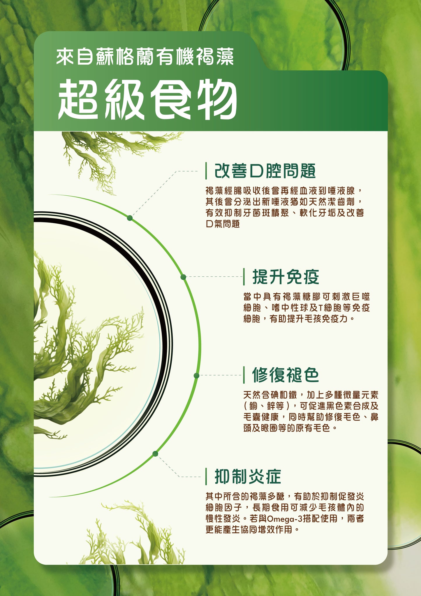 Vetalo 極效皇牌磷蝦粉升級版 30包