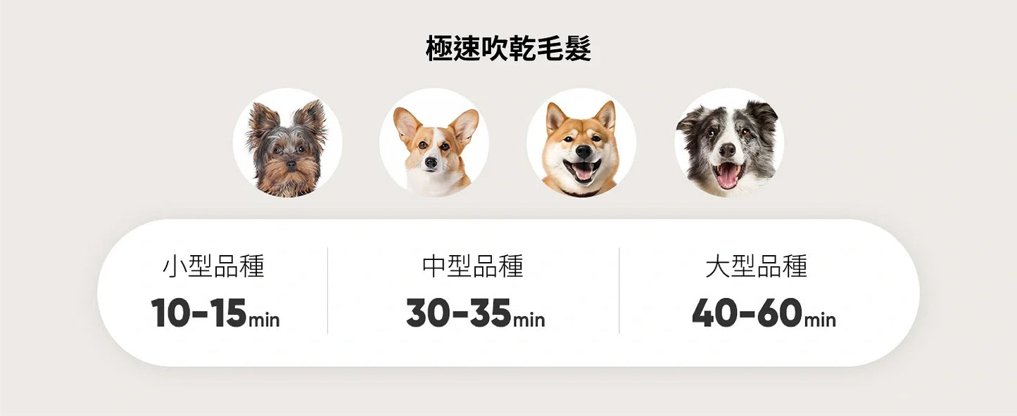 Oneisall KYLE | Pet grooming vacuum cleaner