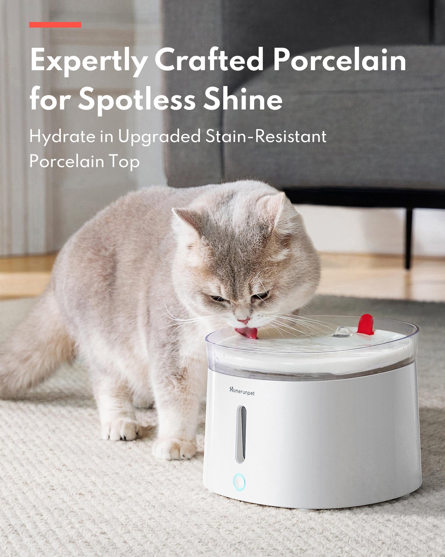 HomeRun CF20 Pet Fountain with Porcelain Plate + Wireless UVC Pump