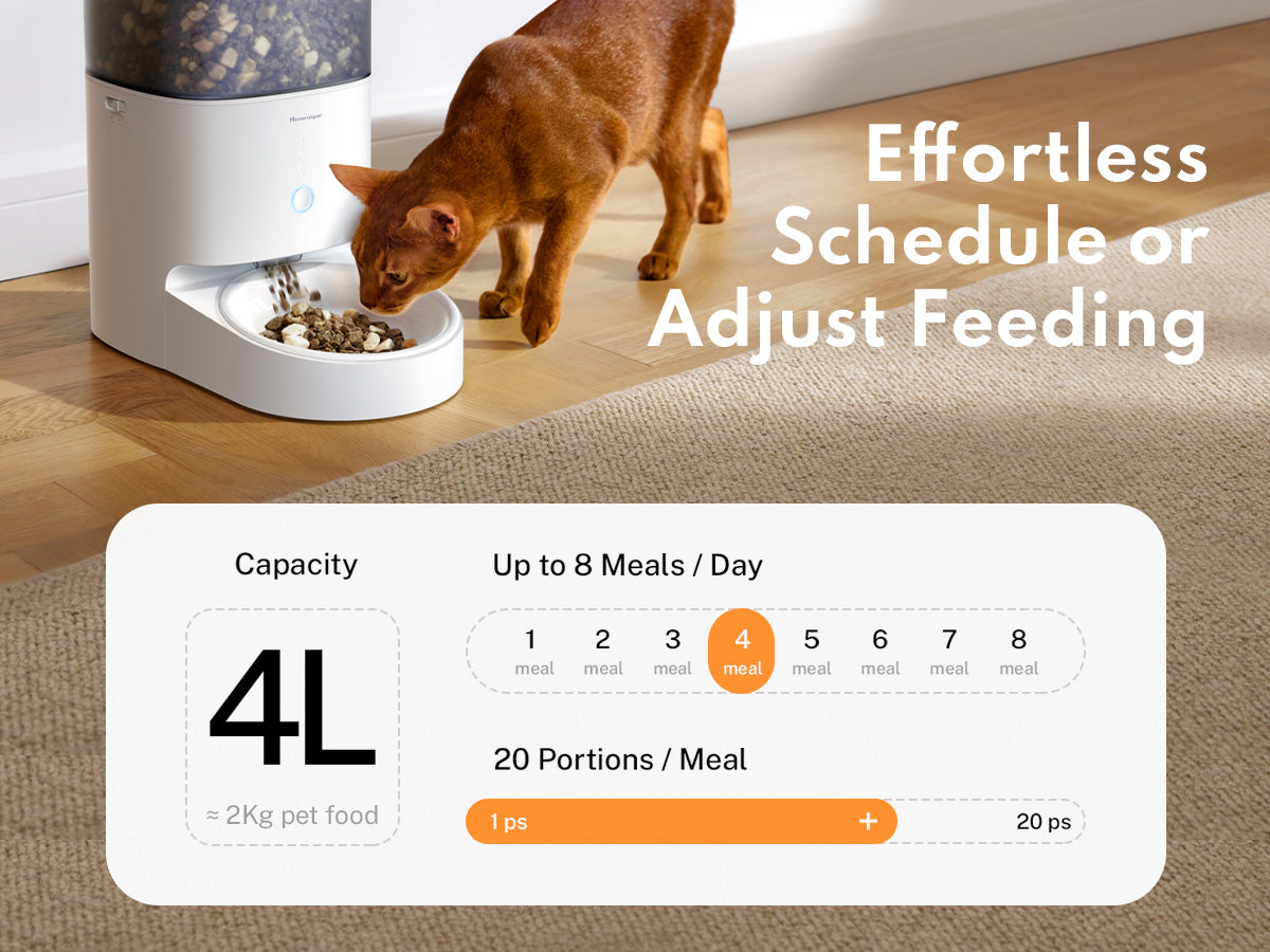 Homerun PF20 Mobile APP control Stainless Steel bowl Pet Feeder