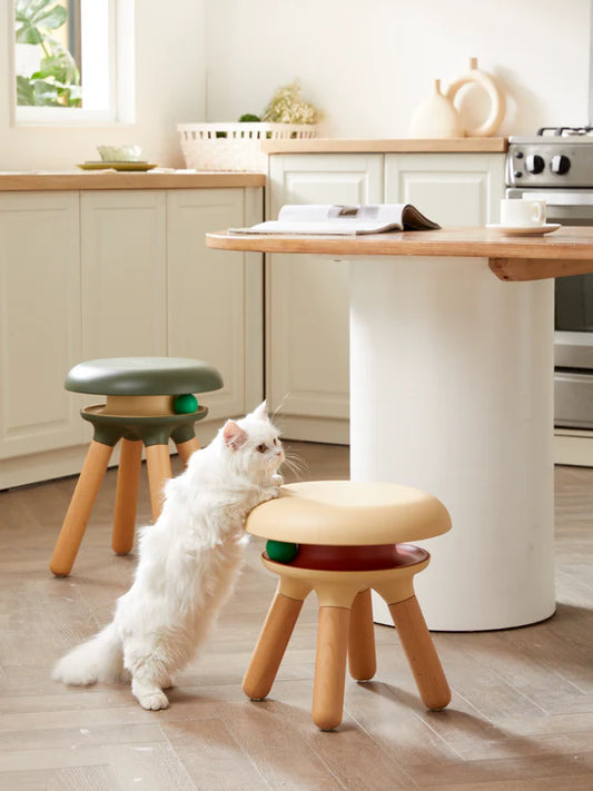 CASADOSA 小行星軌道逗貓凳 (35 cm)