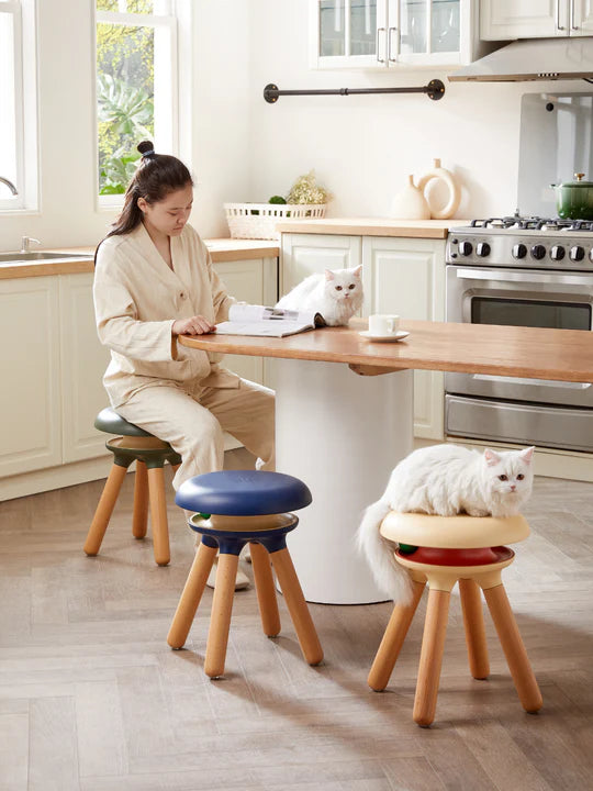 CASADOSA 小行星軌道逗貓凳 (35 cm)