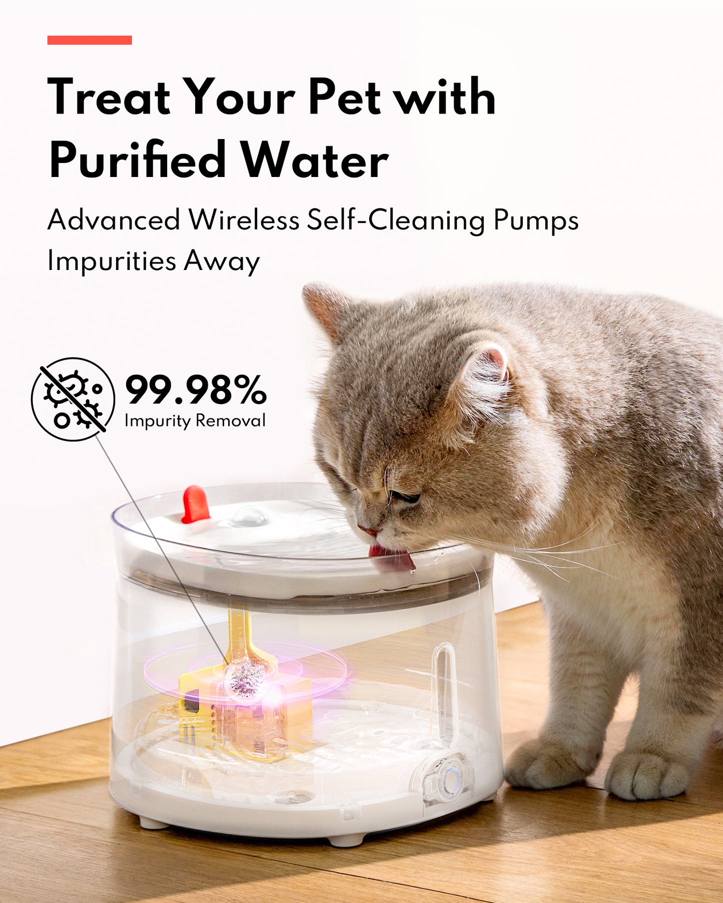 HomeRun CF20 Pet Fountain with Porcelain Plate + Wireless UVC Pump