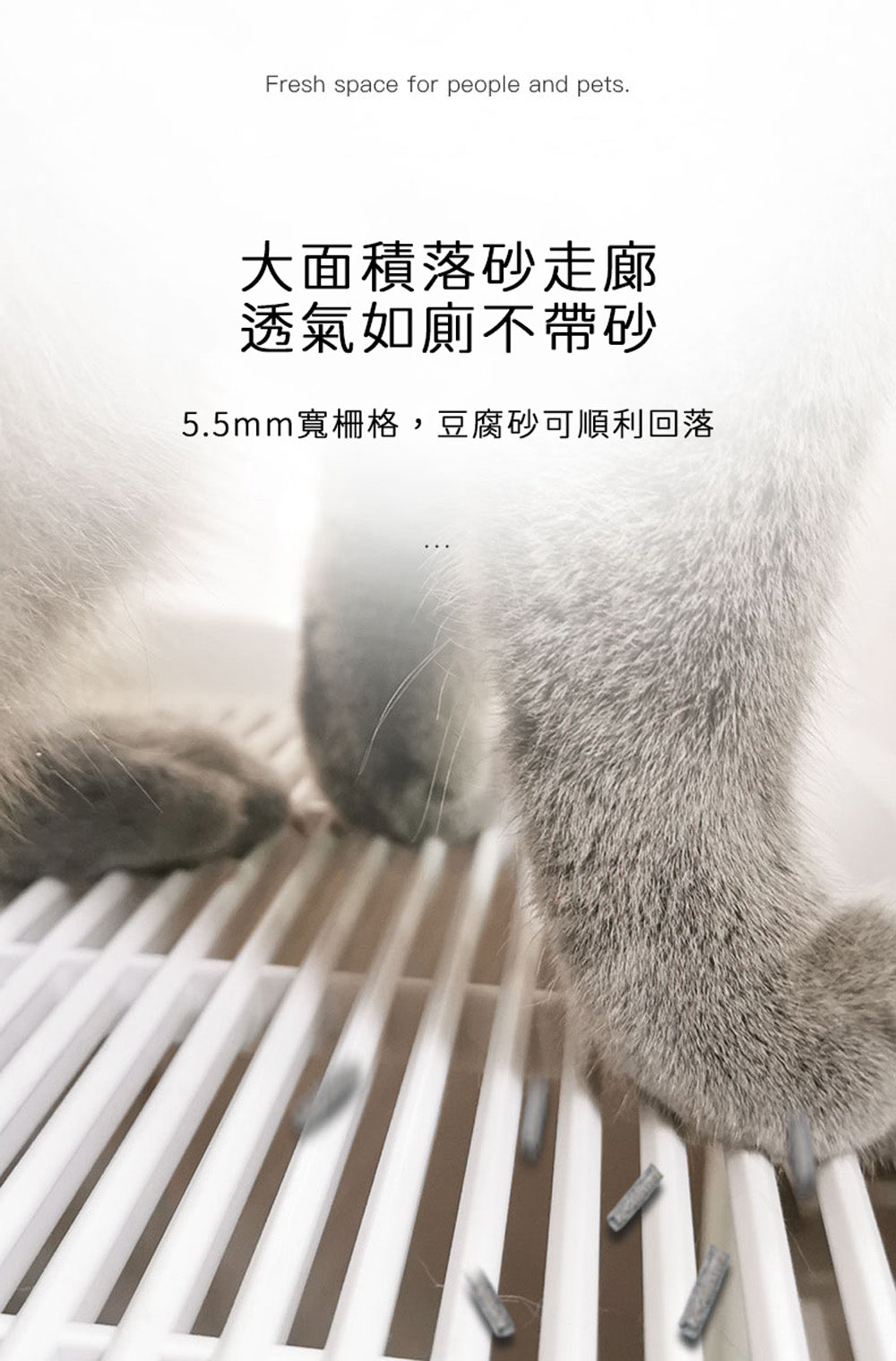 HomeRun 基礎版貓砂盆 (容量: 13L)