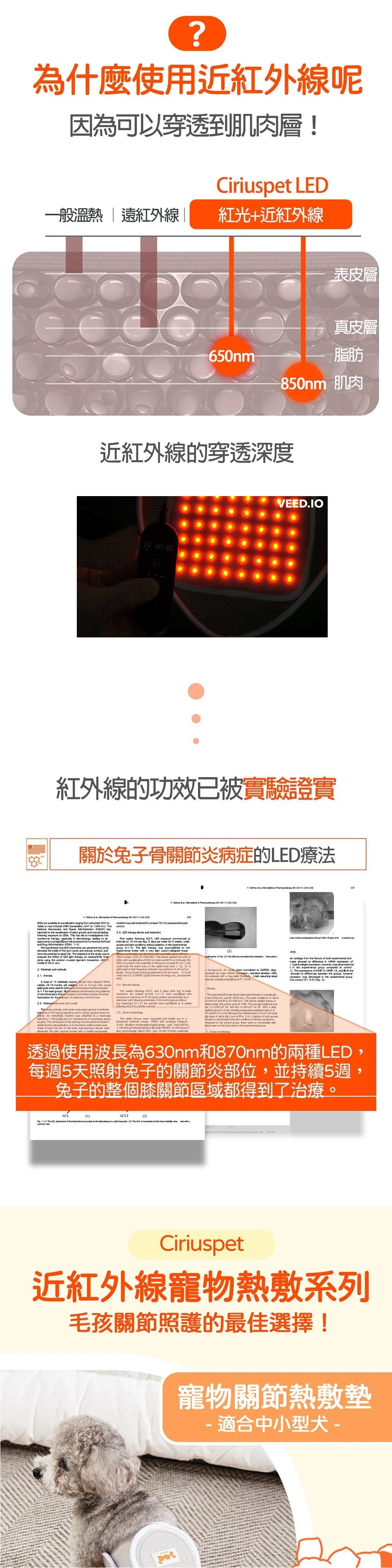Cirius Pet 寵物紅外線光療墊 (加長款)