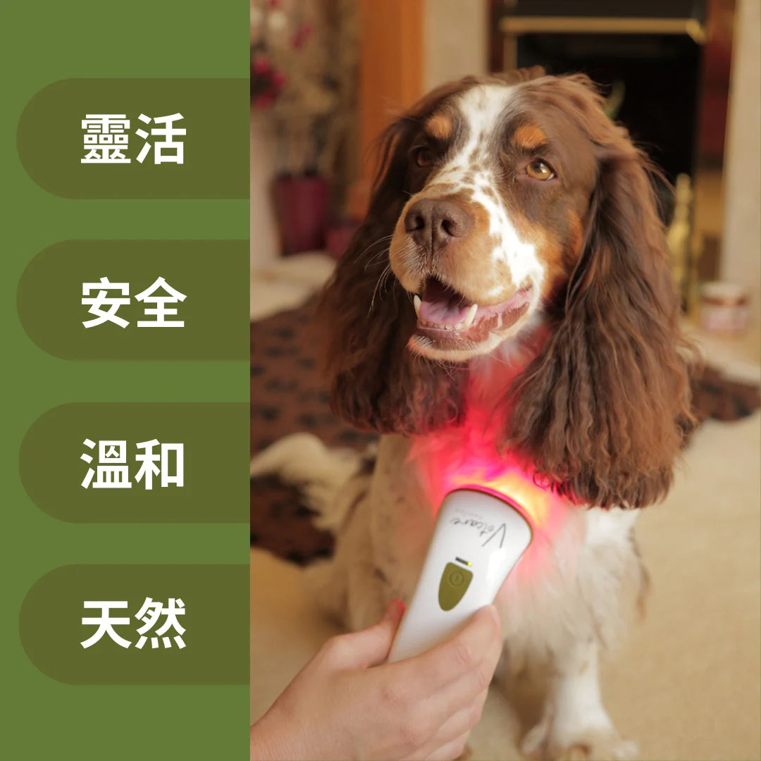 Photizo Vetcare Light Therapy Device