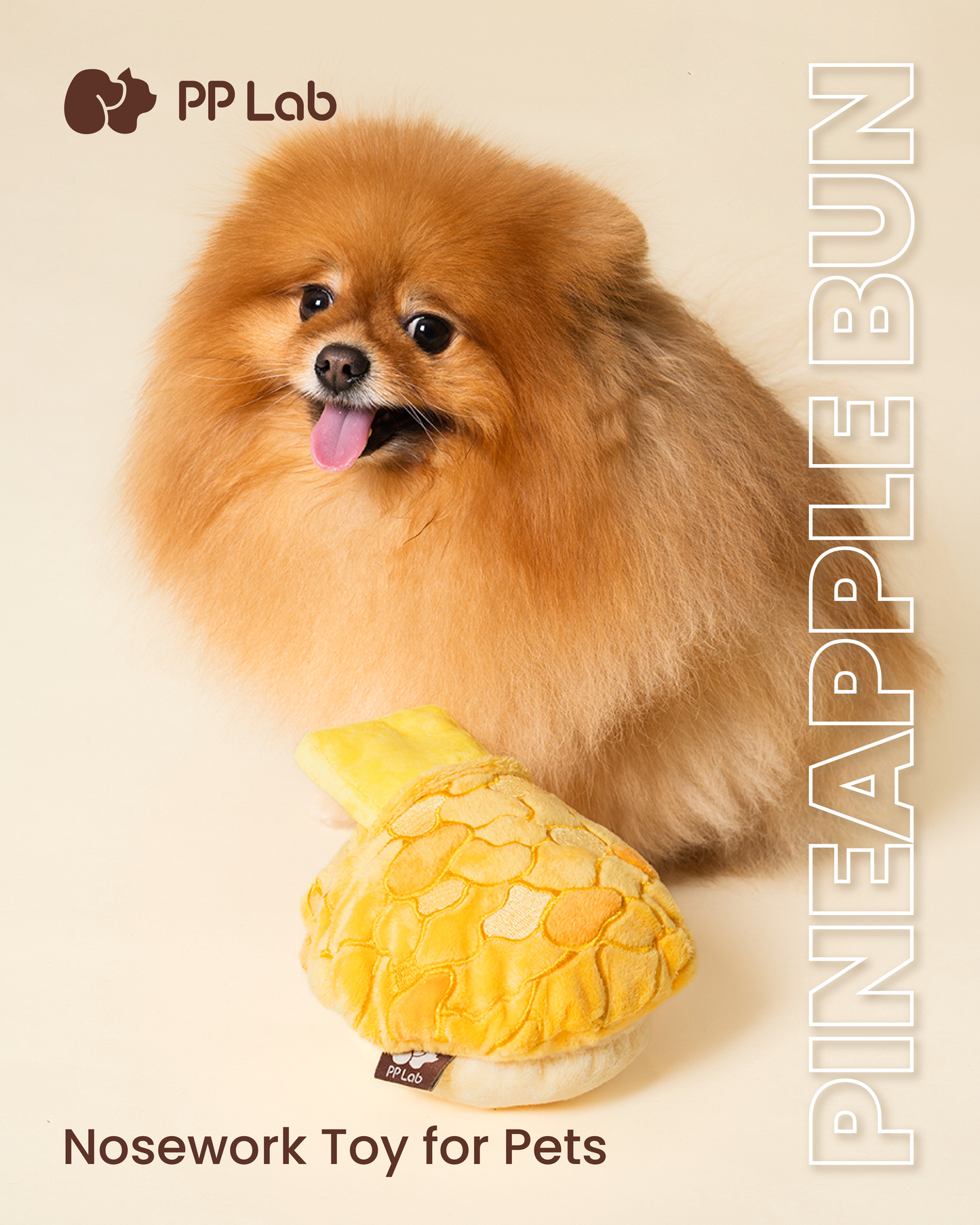 PP Lab Pineapple Bun Combo