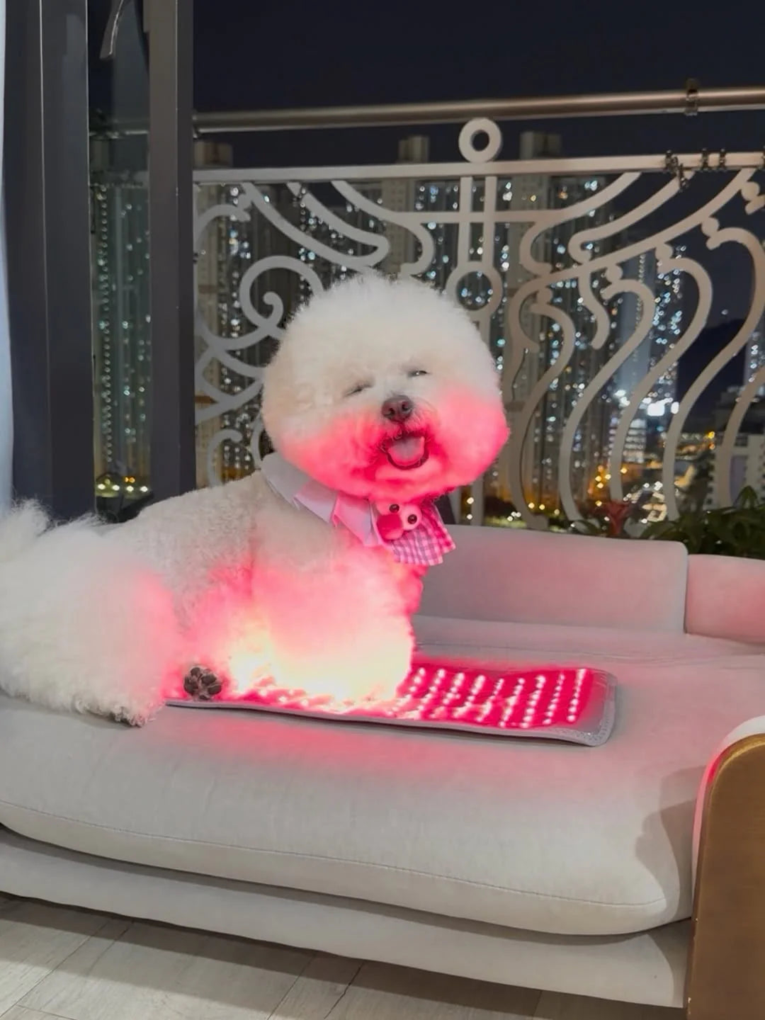 Photizo Flexible LED Pad 160
