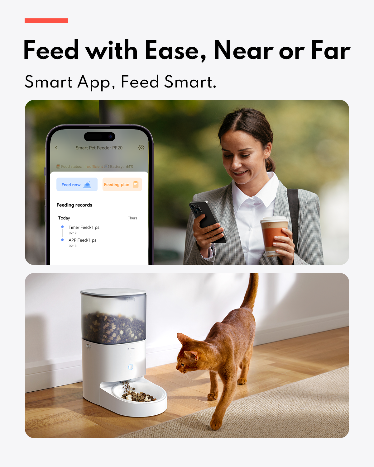 Homerun PF20 Mobile APP control Stainless Steel bowl Pet Feeder