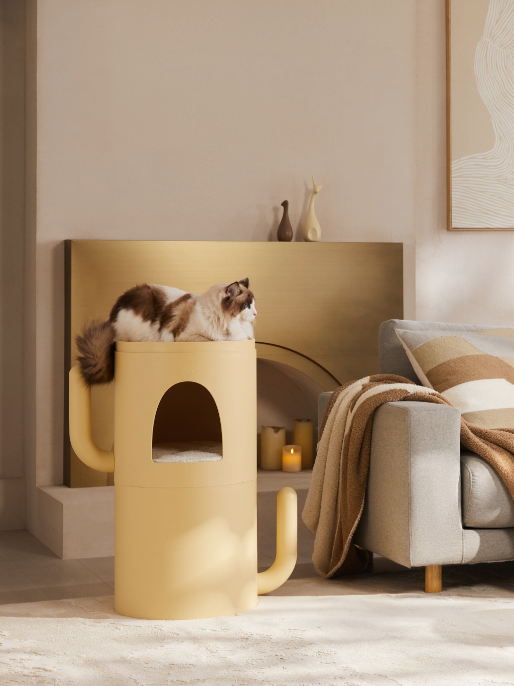 CASADOSA 仙人掌貓窩茶几 (不加配軟墊)