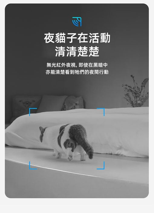 Petkit Yumshare SOLO 寵物智能餵食器(鏡頭版)