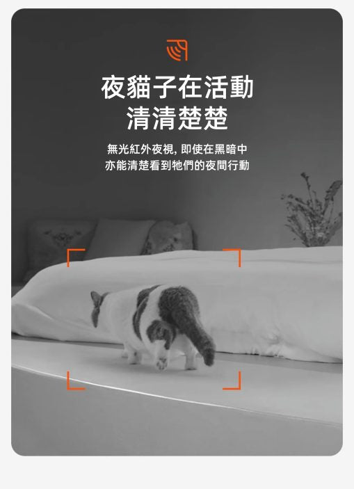 Petkit Yumshare Gemini 寵物智能餵食器(鏡頭+雙糧倉版)