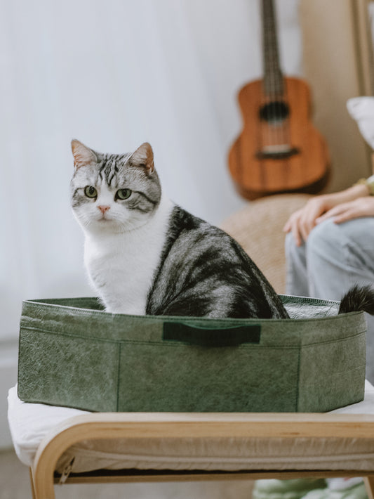 Vital Wave Hexagonal Pet Bed Mat for All Seasons