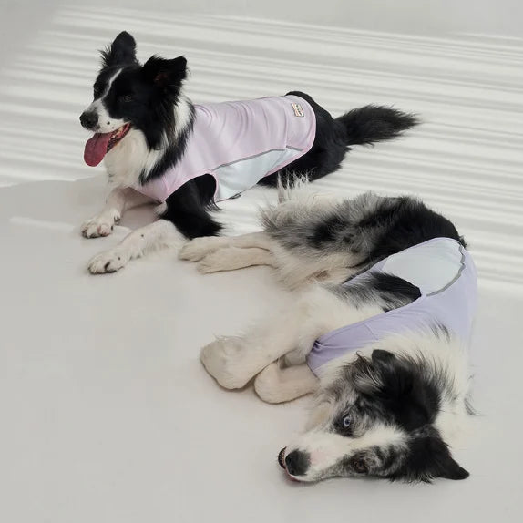 【韓國直送】Super Pet 狗狗涼感機能背心 (DG013)
