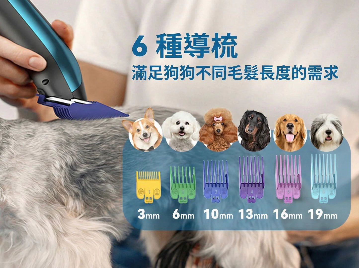 oneisall DTJ-002 | 2-in-1 Pet Hair Trimmer