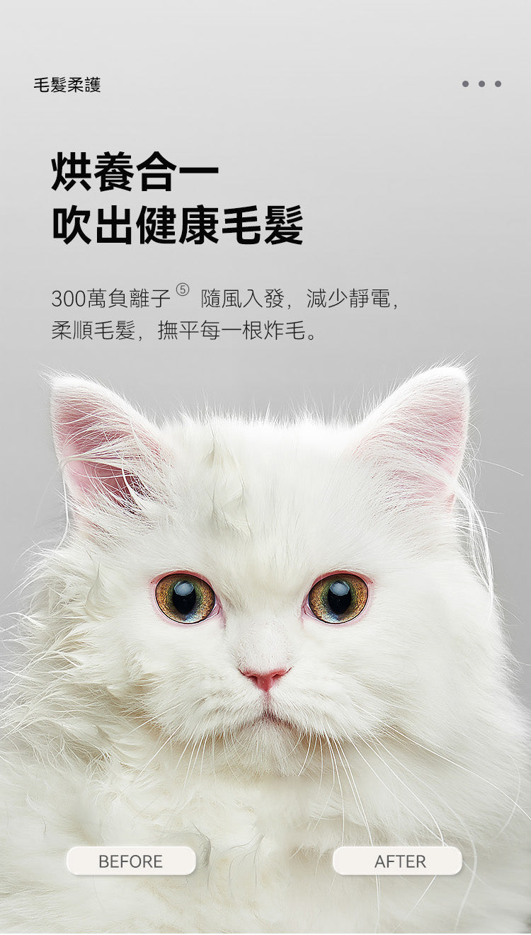 Homerun 寵物毛髮烘乾機 PD60