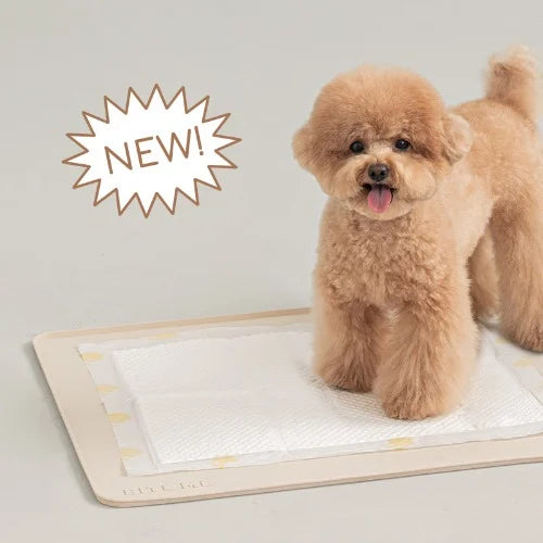 BiteMe Non-slip Silicone Mat 底層矽膠墊