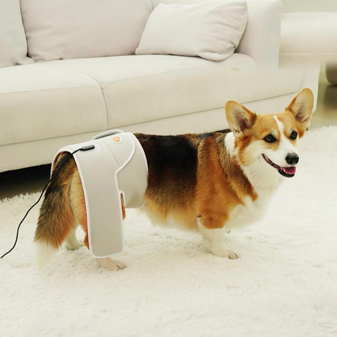 Cirius Pet 寵物紅外線光療墊 (加長款)