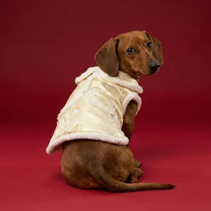 Chinese New Year Dress with White Fur Trim