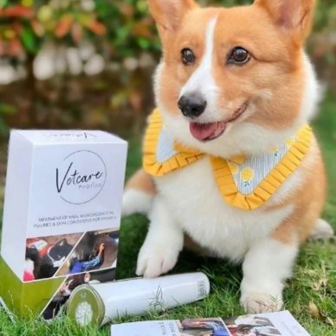Photizo Vetcare Light Therapy Device