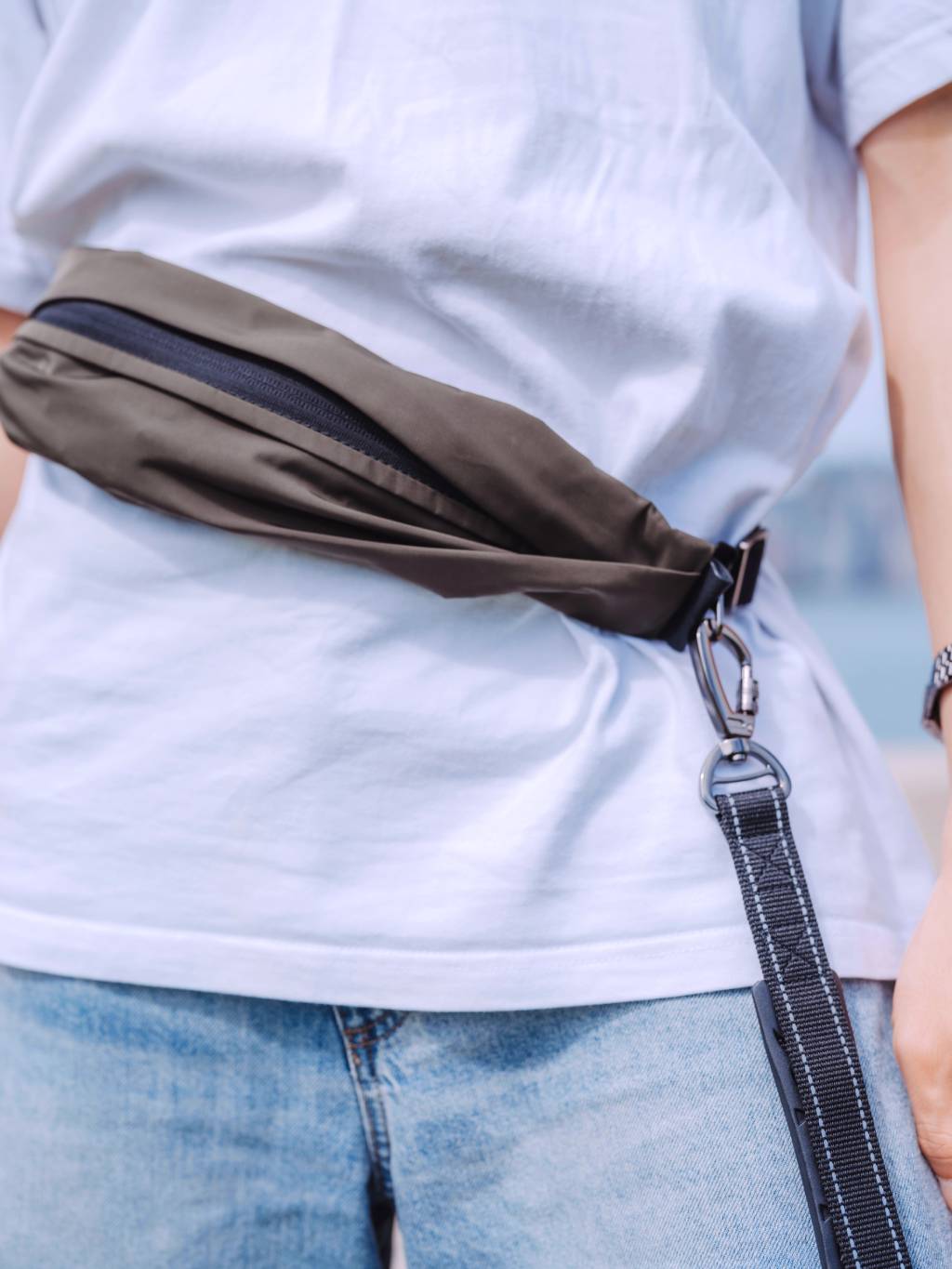AU-au! Leslie Multi-functional Dog Leash