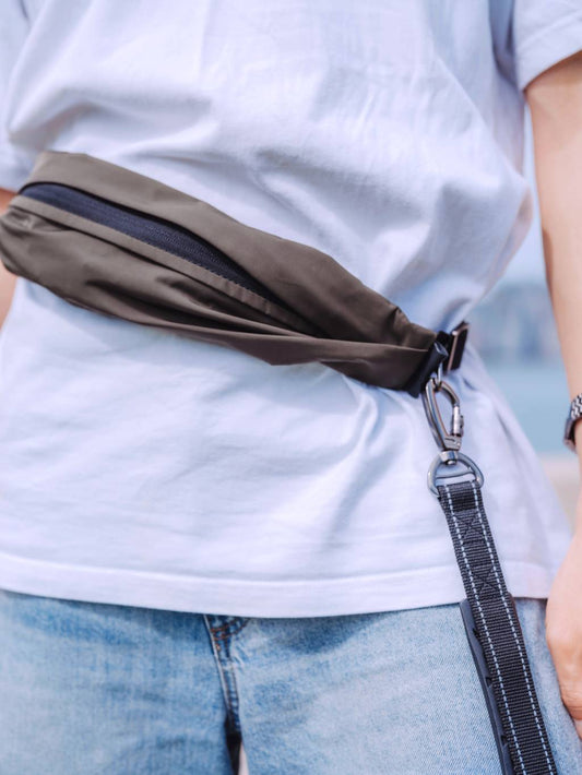 AU-au! Leslie Multi-functional Dog Leash