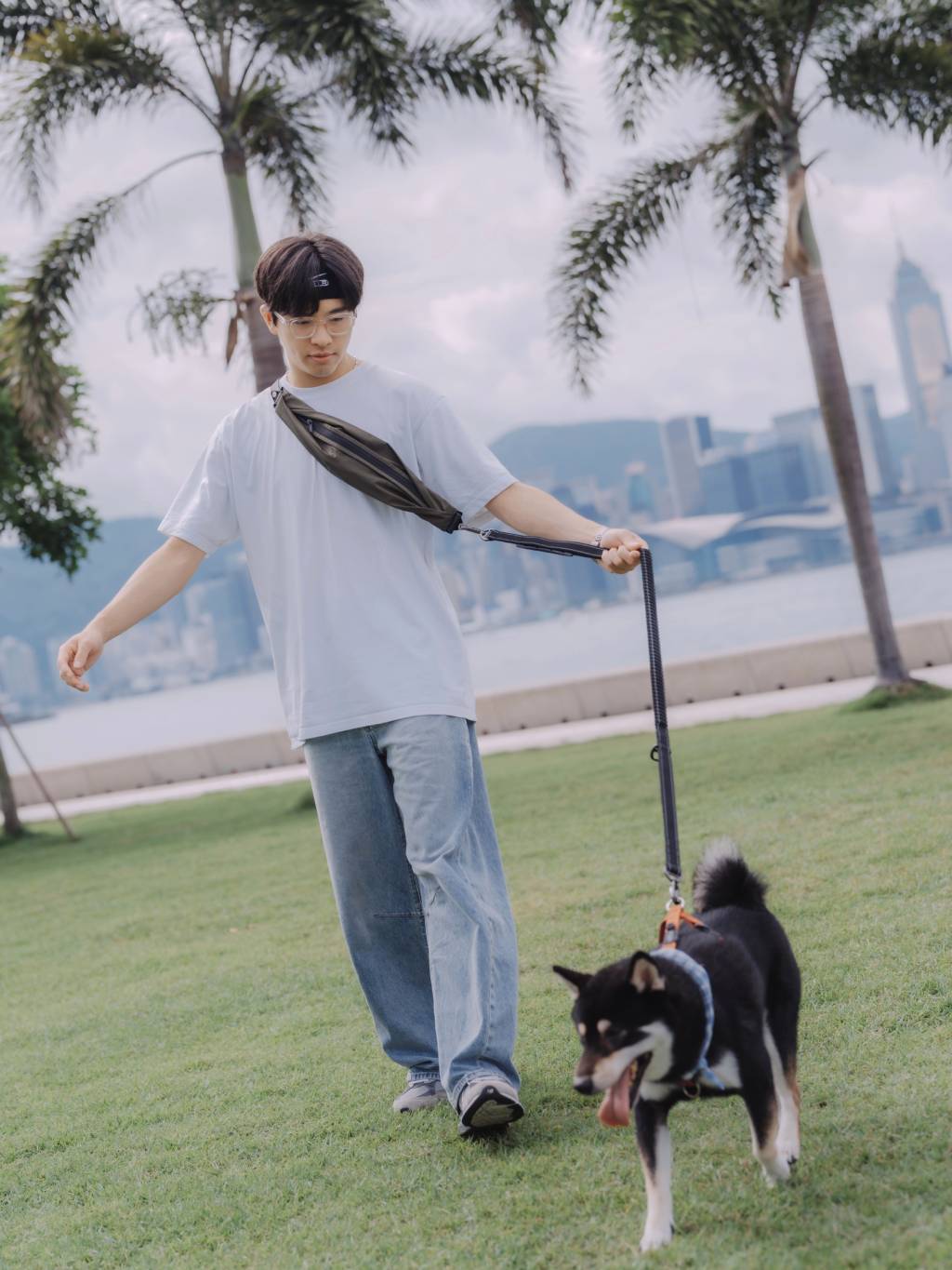 AU-au! Leslie Multi-functional Dog Leash