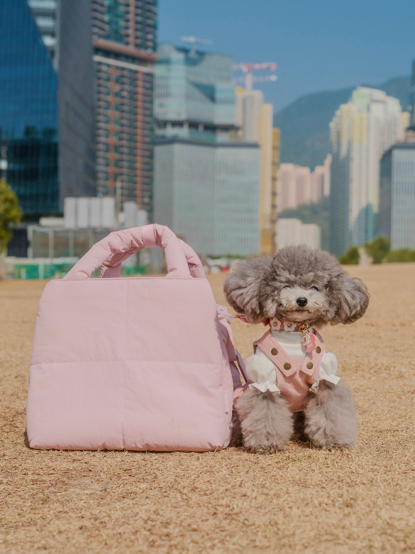 AU-au! Fanny Bubble Bag