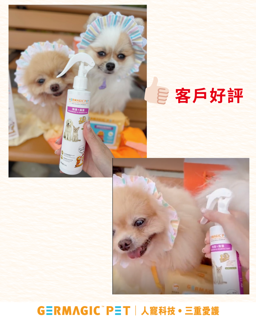 Germagic Pet 寵物12小時長效除臭+殺菌噴霧